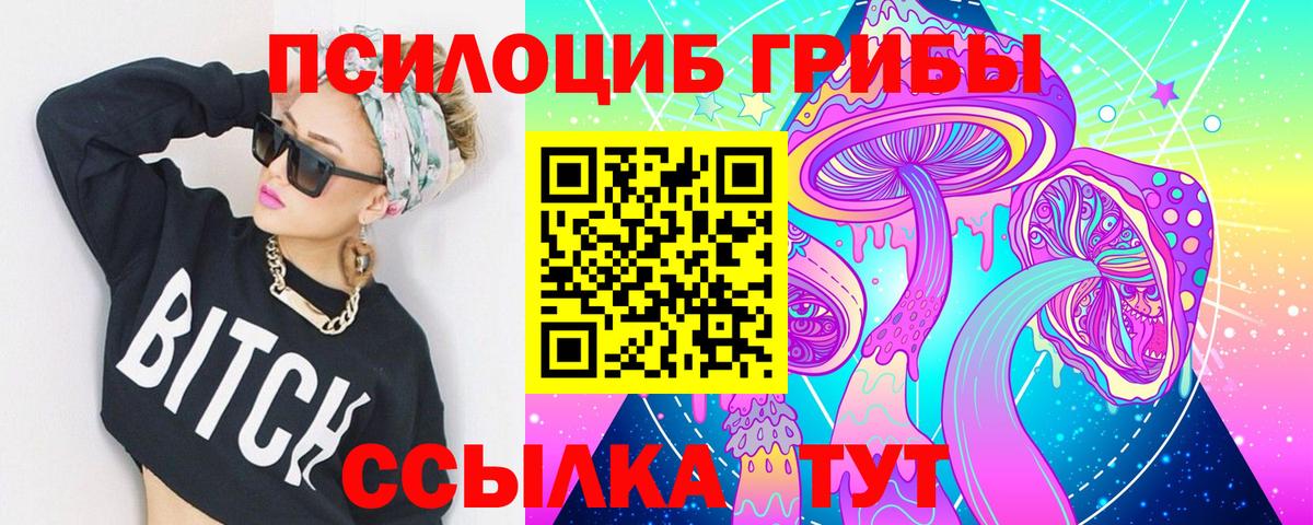 Псилоцибиновые грибы мицелий Похвистнево